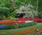 113305_77568_n_2