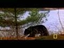 113599_42172_n_1
