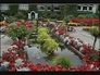 113716_73713_n_3