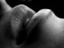 114506_26934_n_1