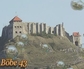 115421_98882_n_2