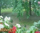 116081_50978_n_2