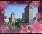 117671_12272_n_2