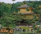 117788_68621_n_2