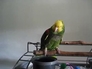 118340_89569_n_3