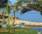 118875_30920_n_2