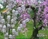 Gubik Mira : Tavasszal, ha kinyílnak a fehér gyöngyvirágok