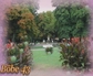 122827_80271_n_2