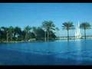 124972_99107_n_1
