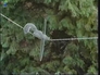 125380_92073_n_2