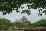 126003_98896_n_2
