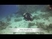 Aqua Dive búvár videók