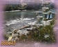 127545_81148_n_2