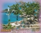 127744_85915_n_2
