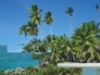 127952_12290_n_2
