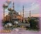 129845_71589_n_2