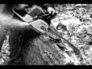 120576_32072_n_1
