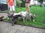 133643_28804_n_1
