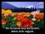 133694_79039_n_1