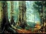 133698_35881_n_1