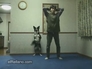 103303_28978_n_2