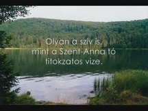 Wass Albert-A sziv