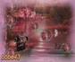 141447_77892_n_2