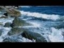 144454_83020_n_1