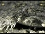 151413_83927_n_1