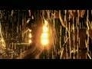 151516_26554_n_1