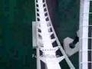 155379_37708_n_1