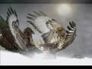 155393_23890_n_1
