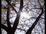 155398_96778_n_1