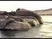 Aswan