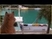 Dolphin and Dog - Song of the Seas by Vangelis.wmv