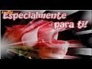 176334_95555_n_1