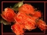 177430_33550_n_1