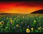 198592_97959_n_2