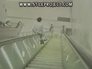 1159_9664387_n_2