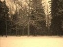 211250_65644_n_1