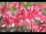 211803_86210_n_1