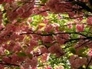 225166_64806_n_1