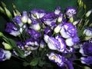 225280_42416_n_1