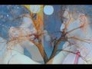 226561_77969_n_1