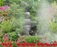226770_98526_n_2