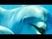 Dolphin Dreams - Medwyn Goodall