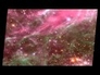 202950_97268_n_1