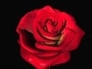 232913_48277_n_1