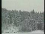237243_17802_n_1