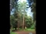 A Jeli Arborétum (2011. május 8.) [Antonio Vivaldi: A négy évszak - tavasz]